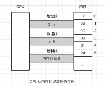 CPU 从内存读取数据