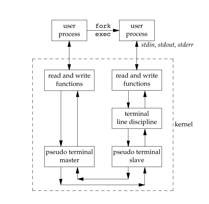 图 3-1 使用伪终端的相关进程的典型结构